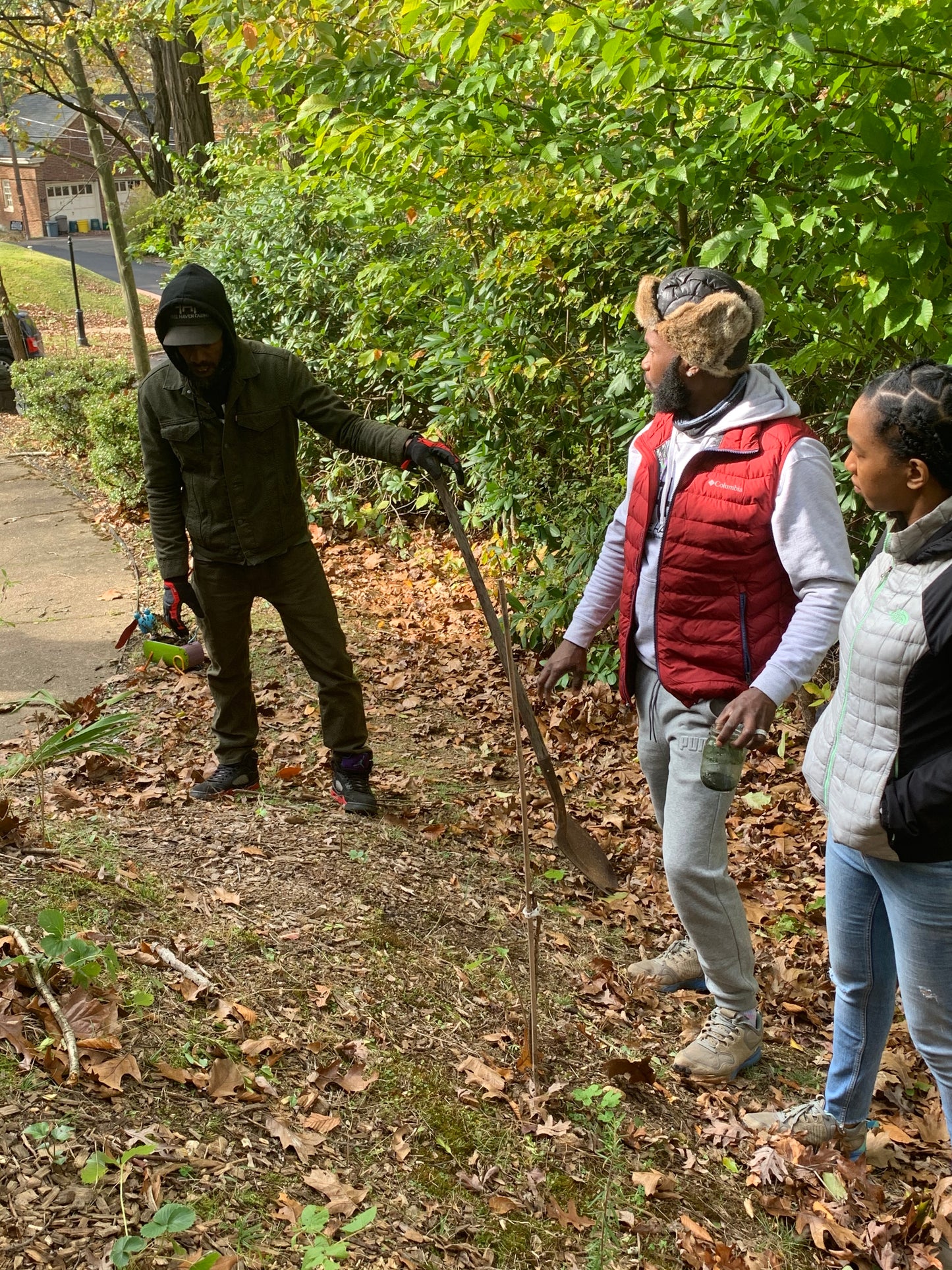 Garden Consultations