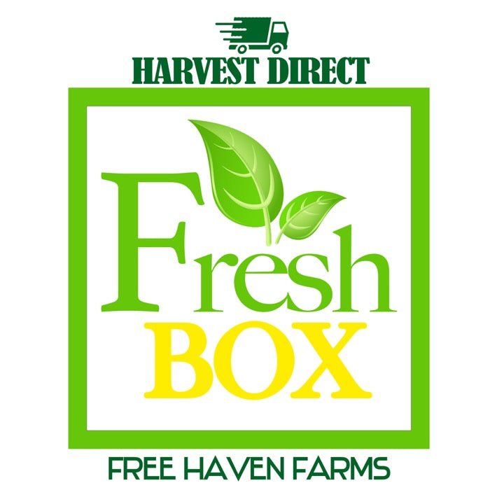Monthly Fresh Box Subscriptions - 2023