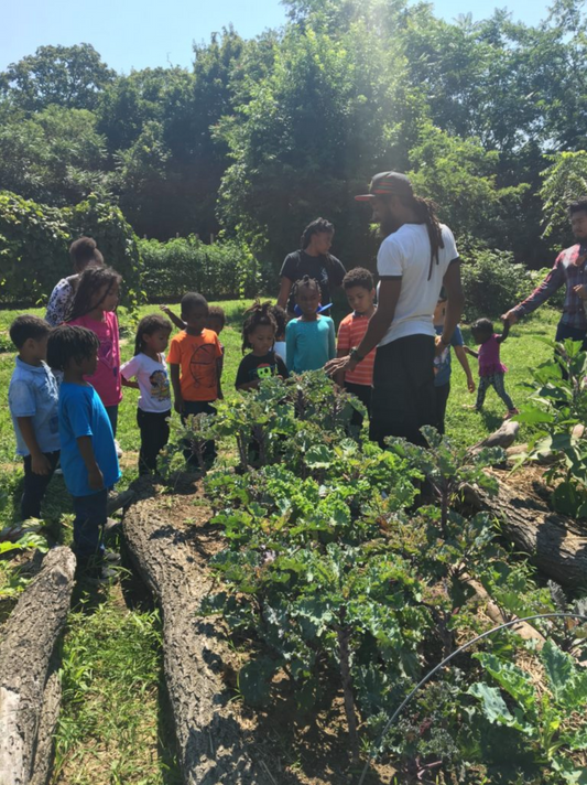 Donate to Free Haven Farms
